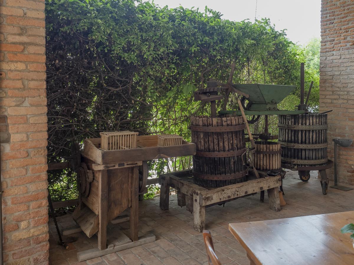 Agriturismo Il Palazzone Montegalda Ngoại thất bức ảnh