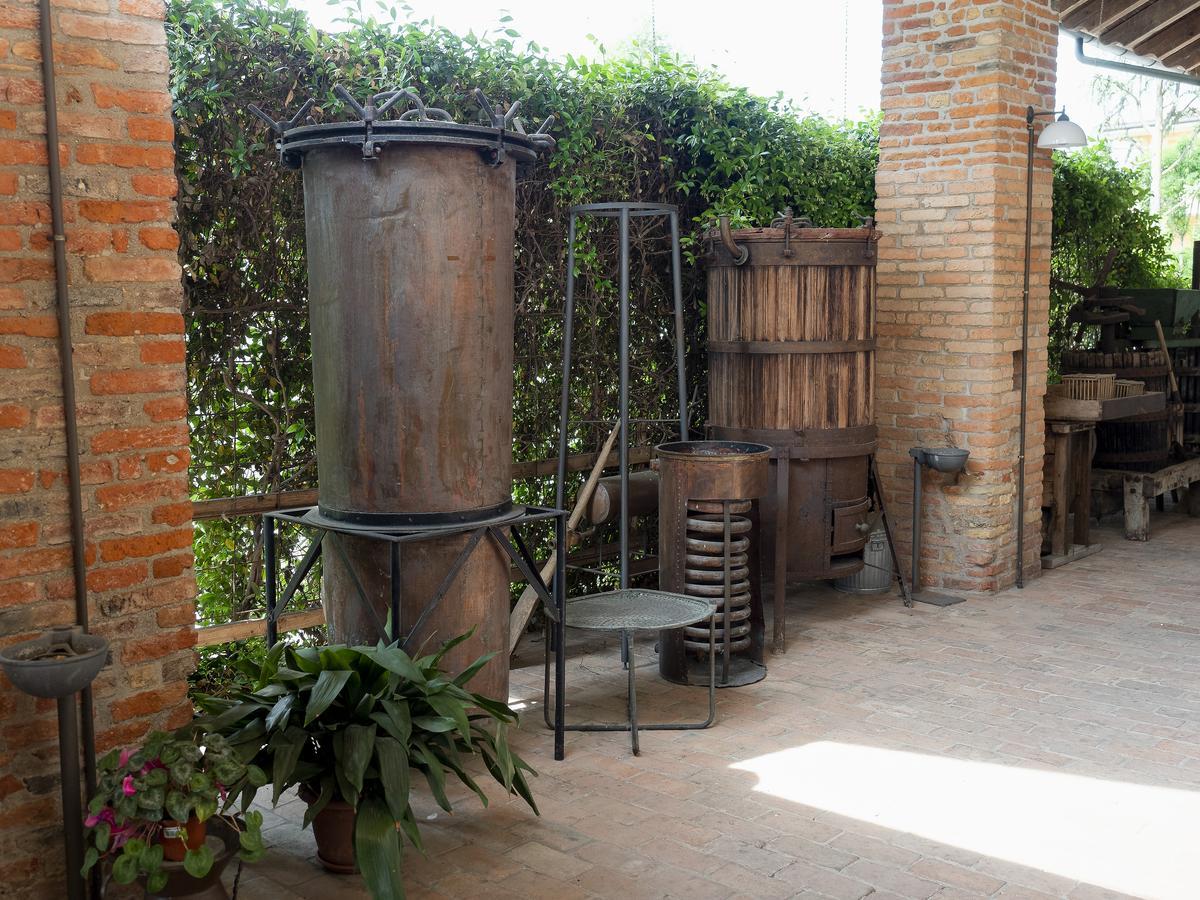 Agriturismo Il Palazzone Montegalda Ngoại thất bức ảnh
